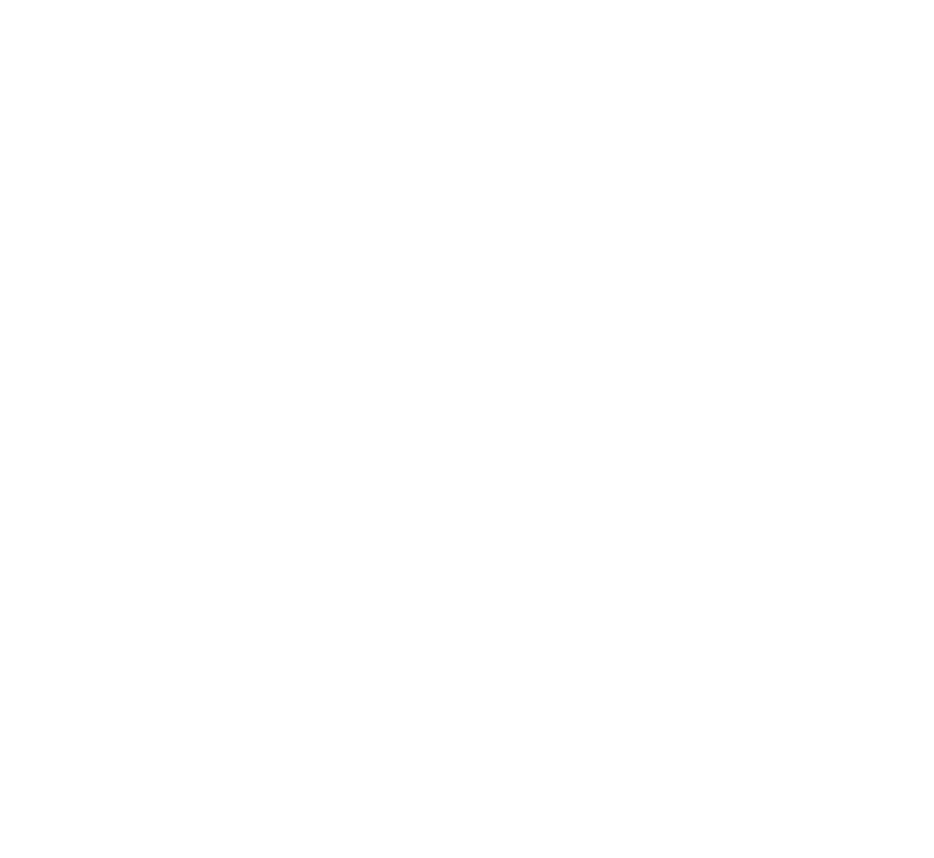 BLENKEN